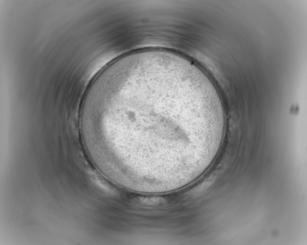 X0000090431129200708101959