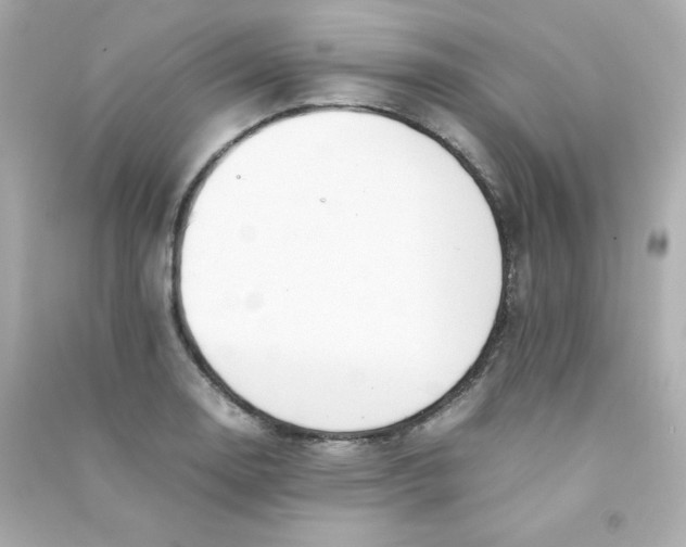 X0000090431130200708101959