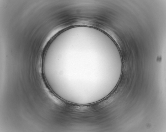 X0000090431131200708101959