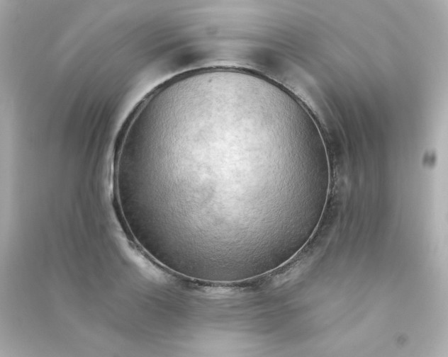 X0000090431132200708101959
