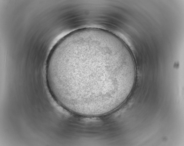 X0000090431133200708101959