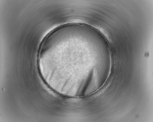 X0000090431134200708101959