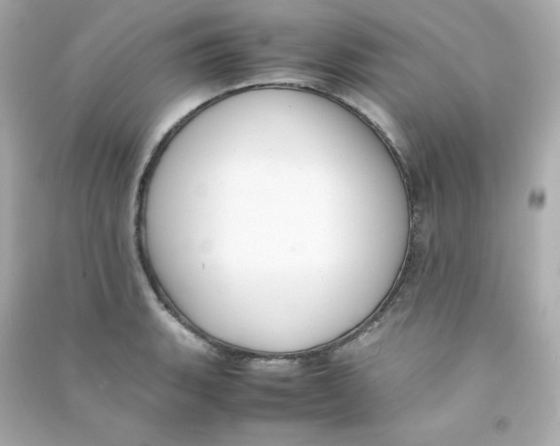 X0000090431135200708101959