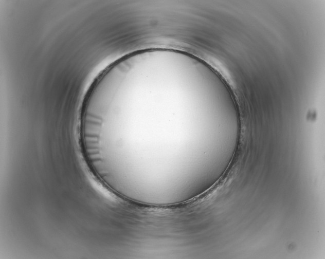 X0000090431136200708101959