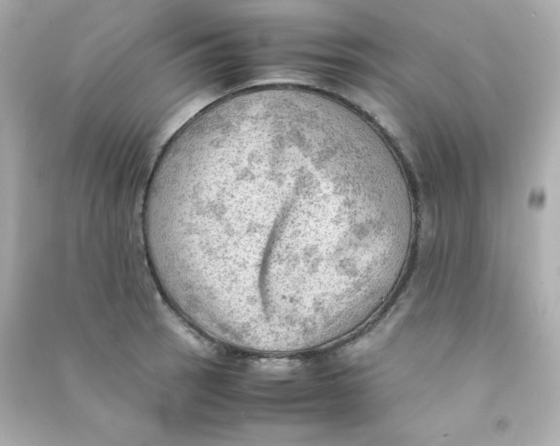 X0000090431137200708101959