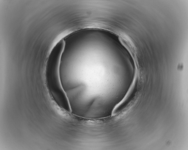 X0000090431138200708101959