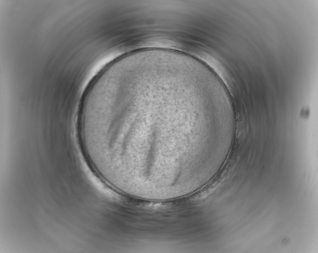 X0000090431139200708101959