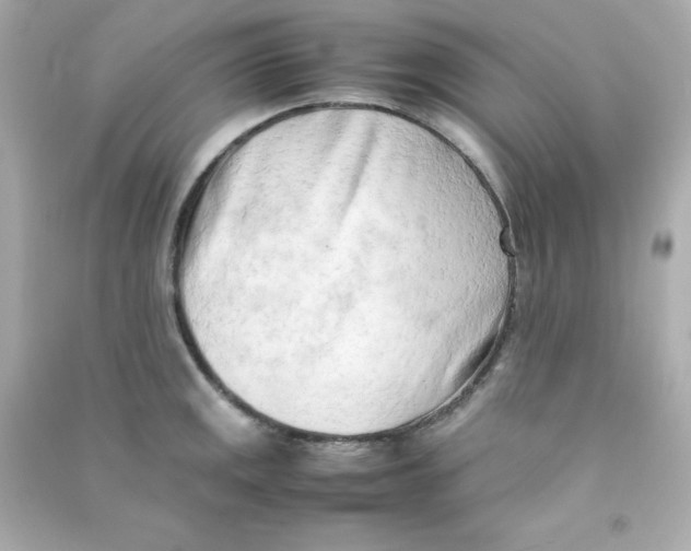 X0000090431141200708101959
