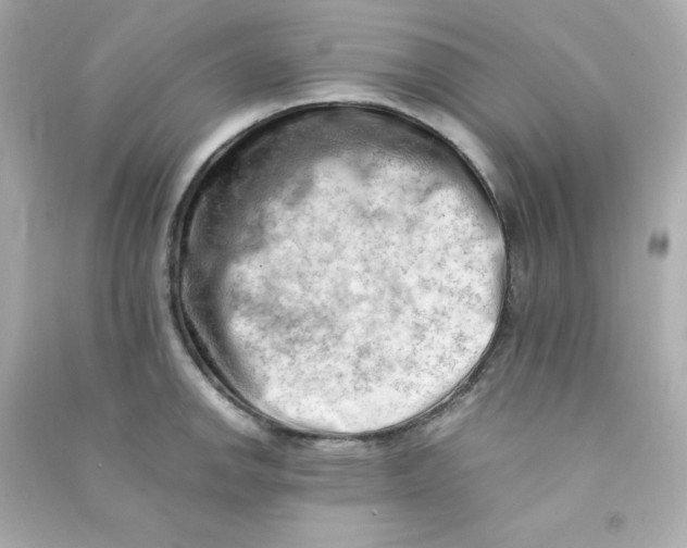 X0000090431142200708101959