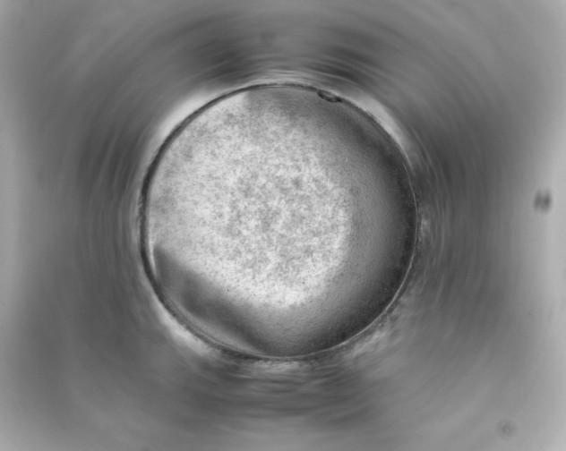 X0000090431143200708101959