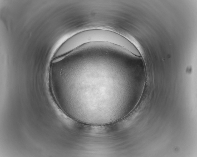 X0000090431144200708101959