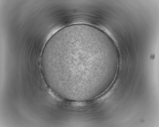 X0000090431145200708101959