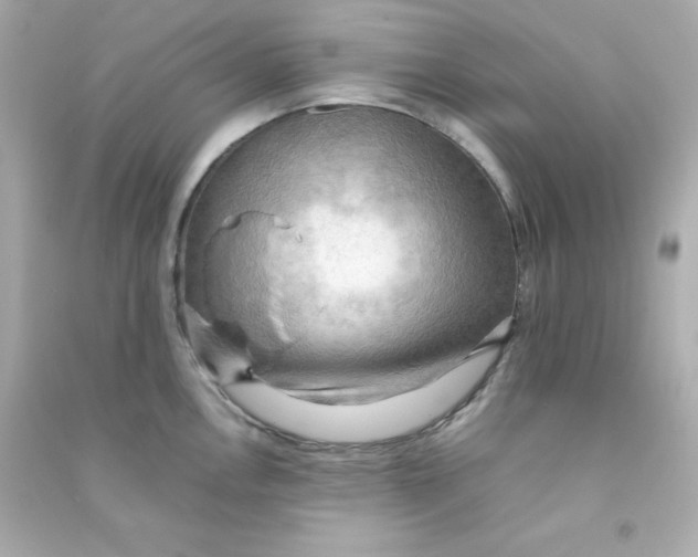 X0000090431146200708101959