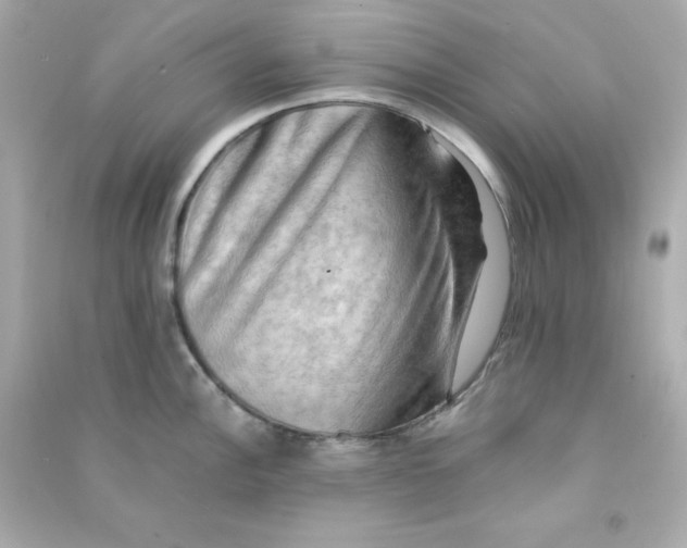 X0000090431148200708101959