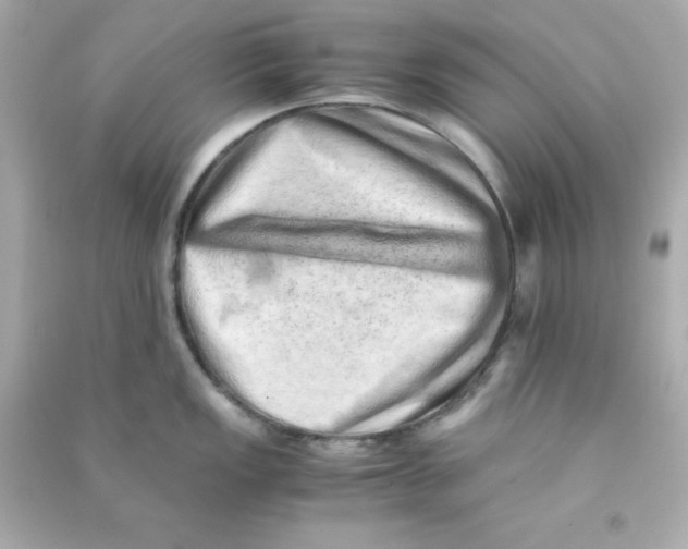 X0000090431149200708101959