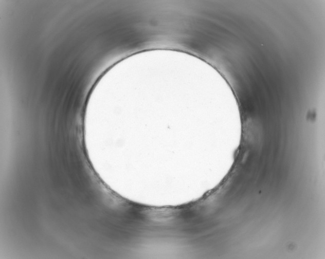 X0000090431150200708101959