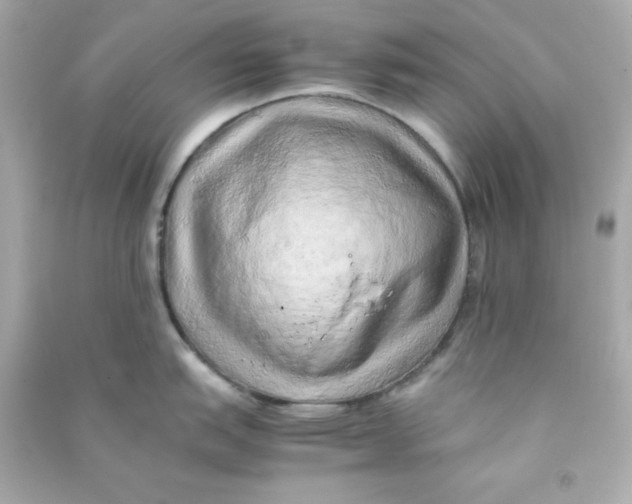 X0000090431151200708101959