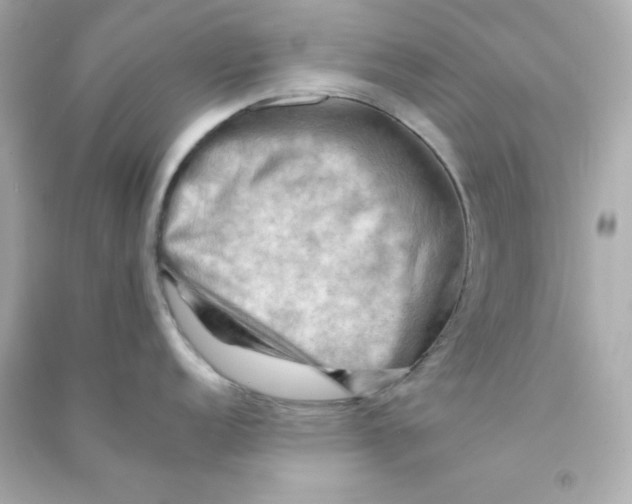 X0000090431152200708101959