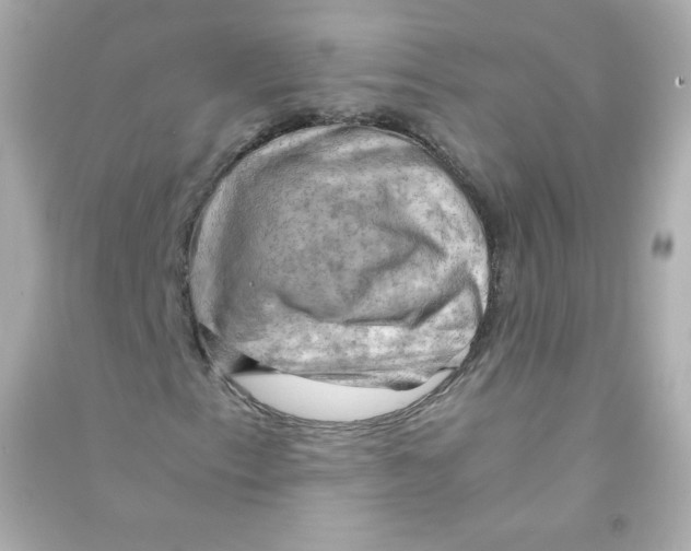 X0000090431153200708101959