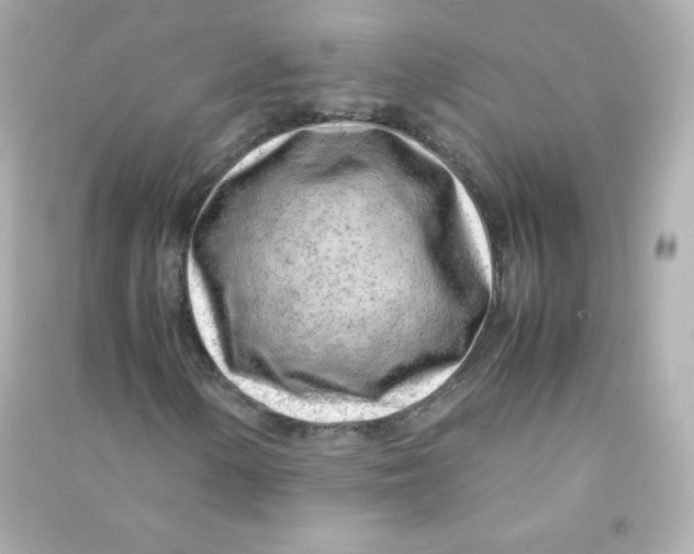 X0000090431154200708101959