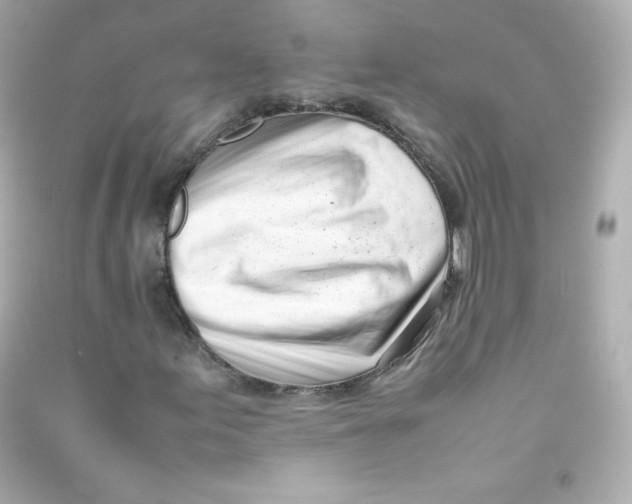 X0000090431155200708101959