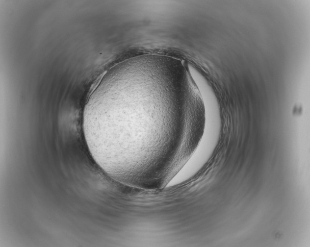 X0000090431156200708101958