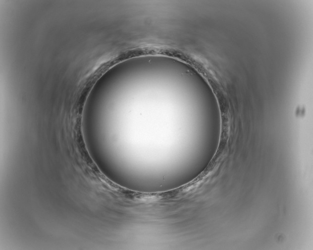 X0000090431157200708101958