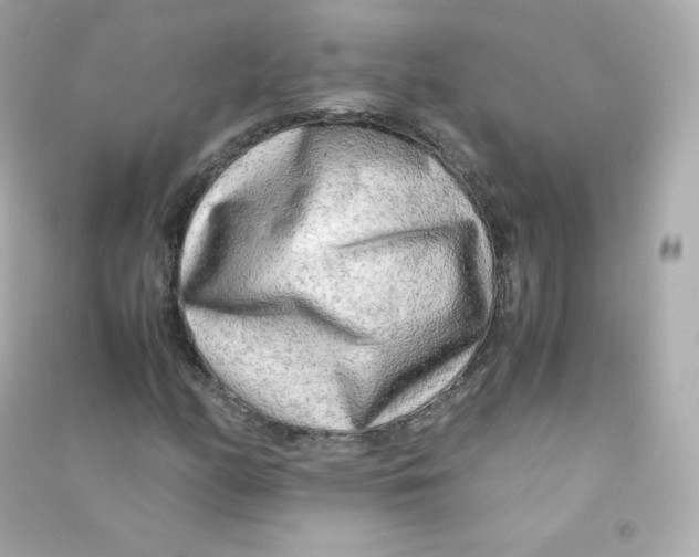 X0000090431158200708101958