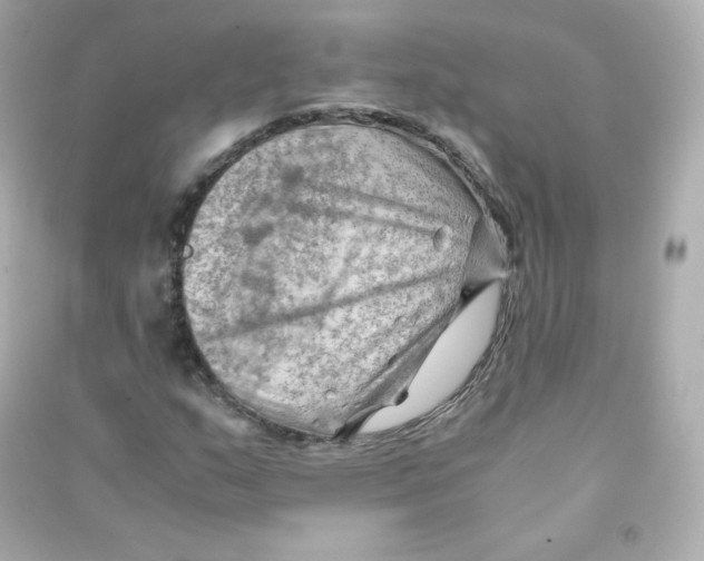 X0000090431159200708101958