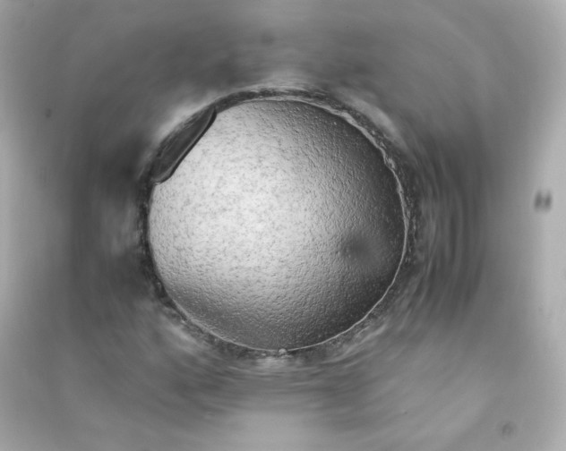 X0000090431160200708101958