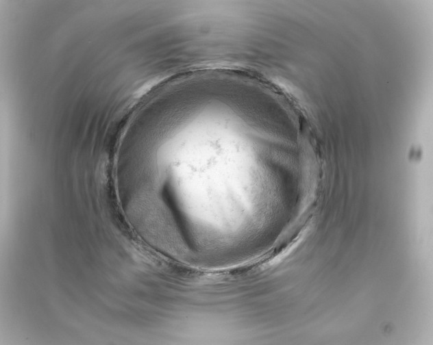 X0000090431161200708101958