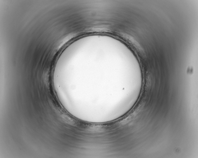 X0000090431162200708101958