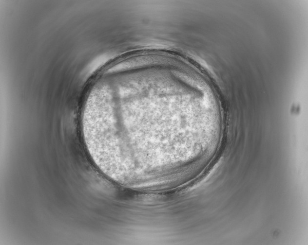 X0000090431163200708101958