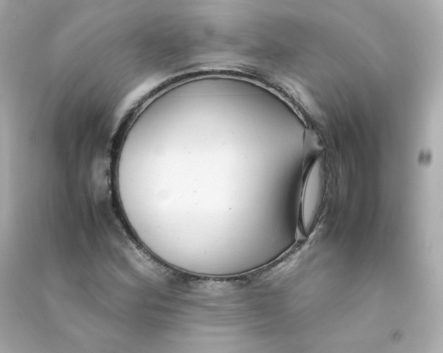 X0000090431164200708101958