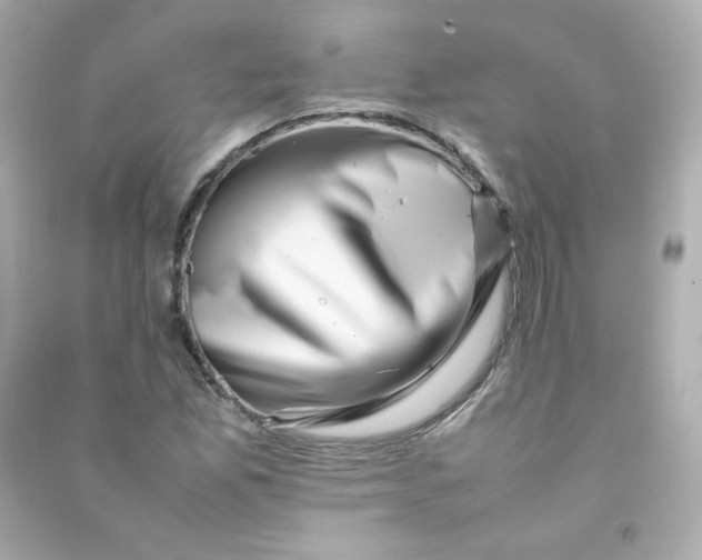 X0000090431165200708101958
