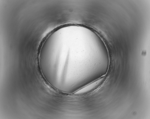 X0000090431168200708101958