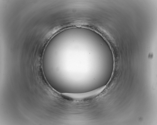 X0000090431169200708101958