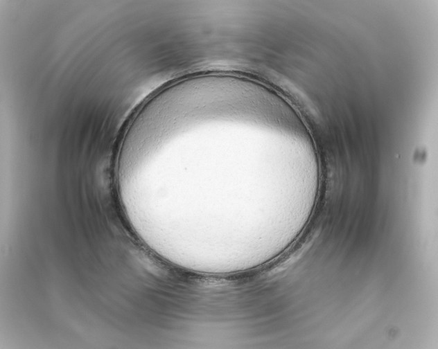 X0000090431170200708101958
