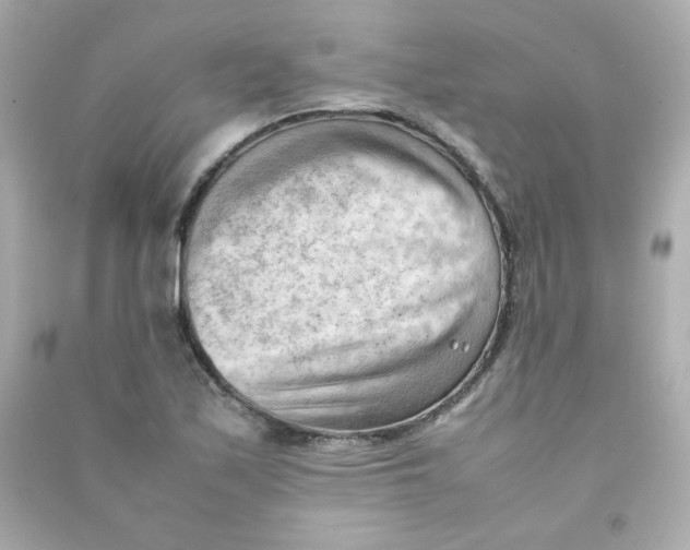 X0000090431171200708101958