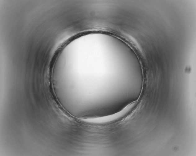 X0000090431172200708101958