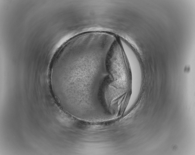 X0000090431173200708101958