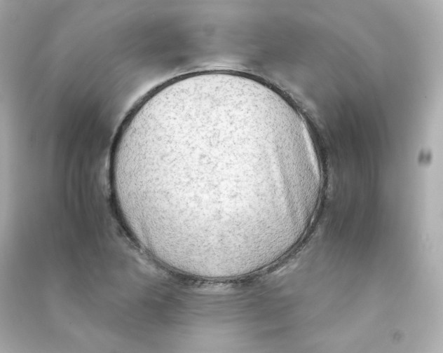 X0000090431174200708101958