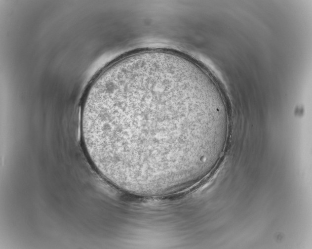 X0000090431175200708101958