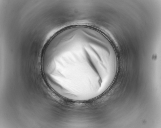 X0000090431176200708101958