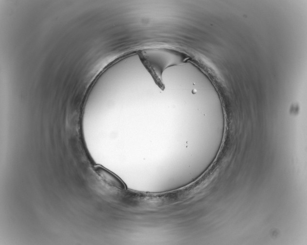 X0000090431177200708101958