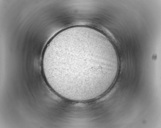 X0000090431178200708101958
