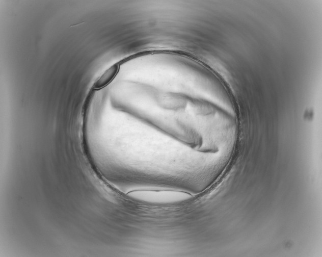 X0000090431179200708101958