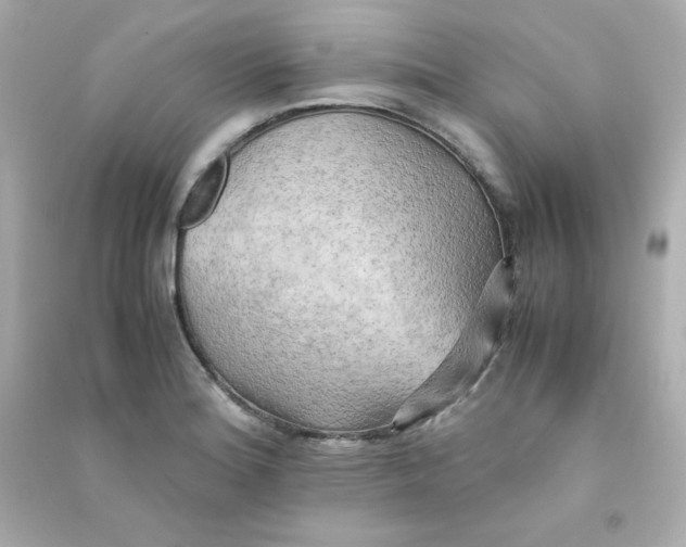 X0000090431180200708101958