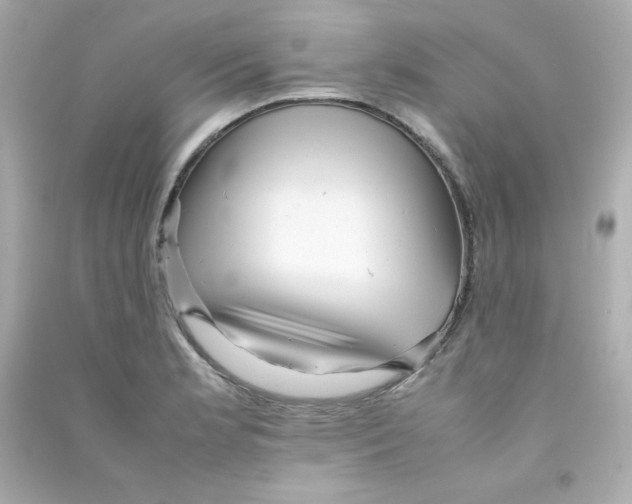 X0000090431181200708101958