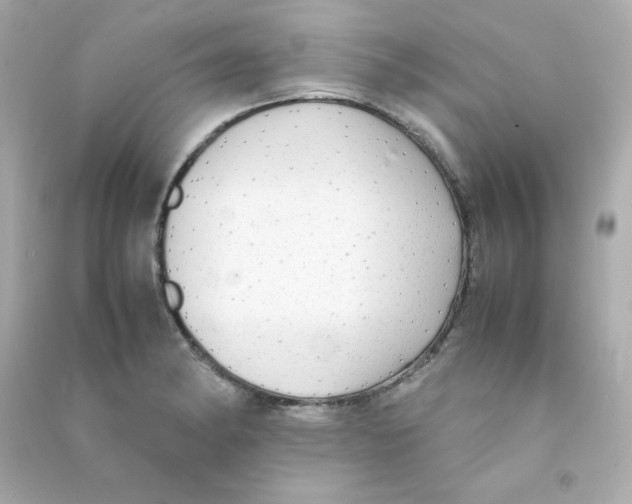 X0000090431182200708101958
